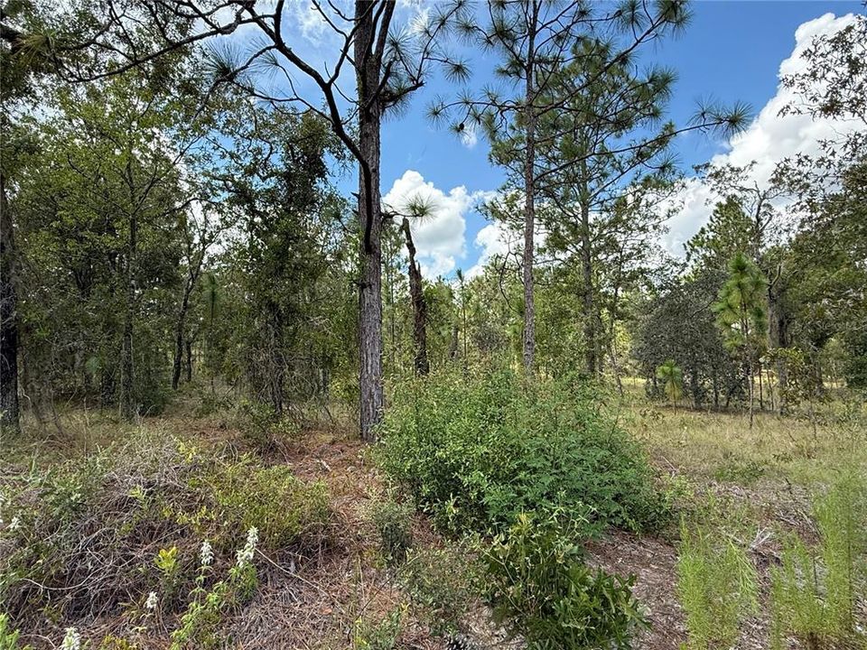 待售: $47,000 (0.99 acres)