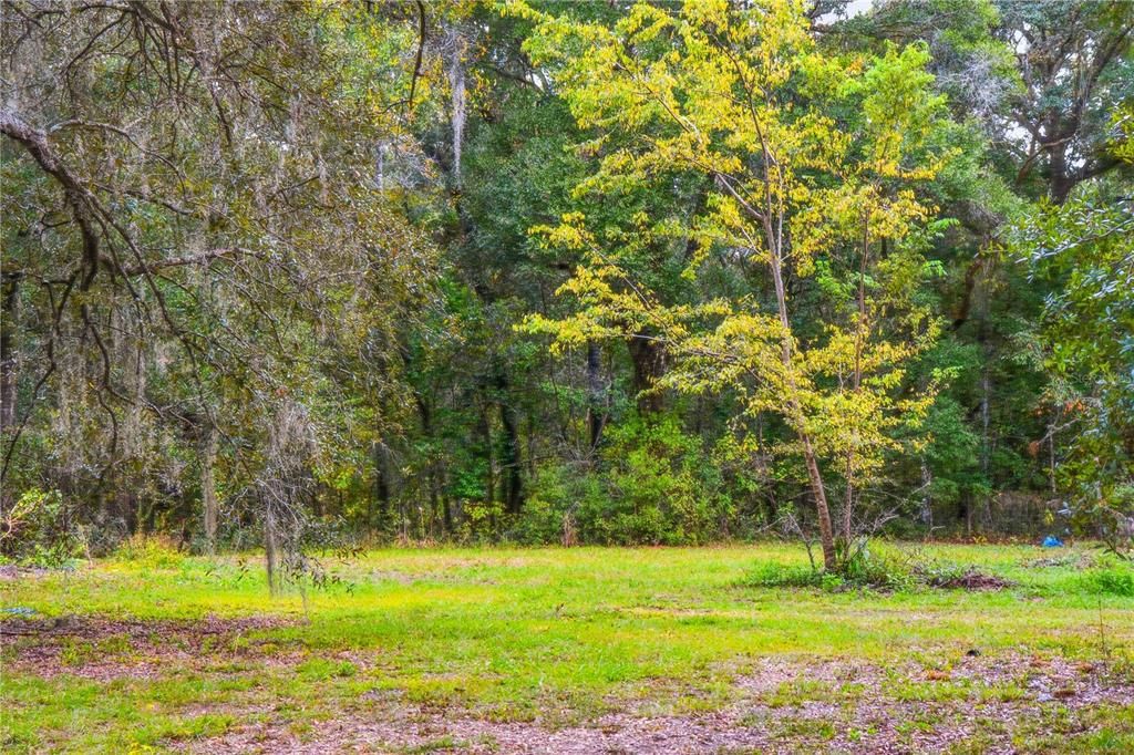 待售: $250,000 (5.00 acres)