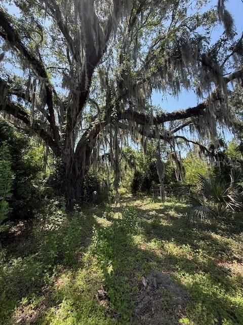 For Sale: $150,000 (4.63 acres)