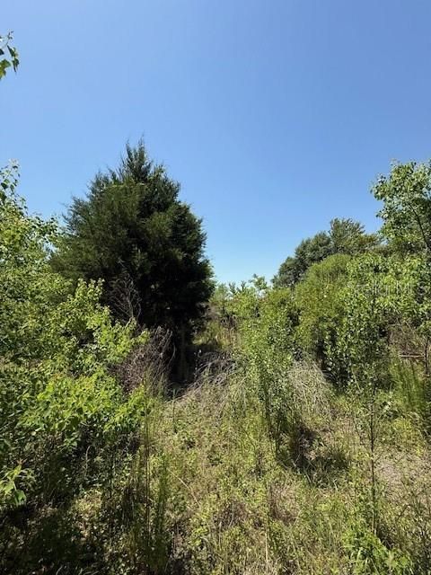 For Sale: $150,000 (4.63 acres)