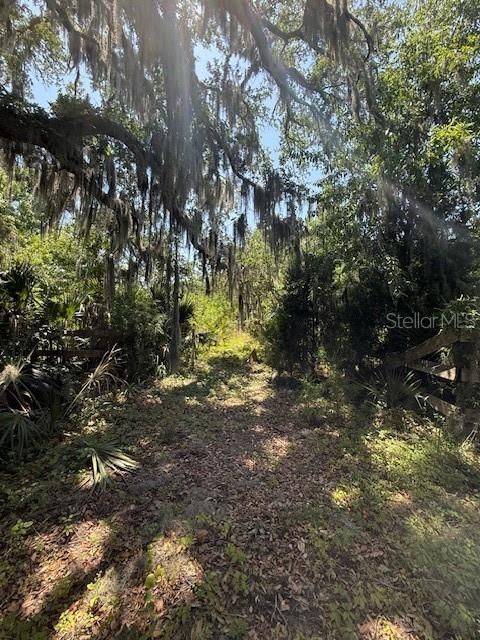 For Sale: $150,000 (4.63 acres)