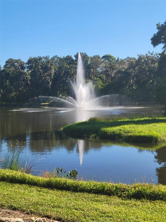 待售: $268,000 (3 贝兹, 2 浴室, 1494 平方英尺)