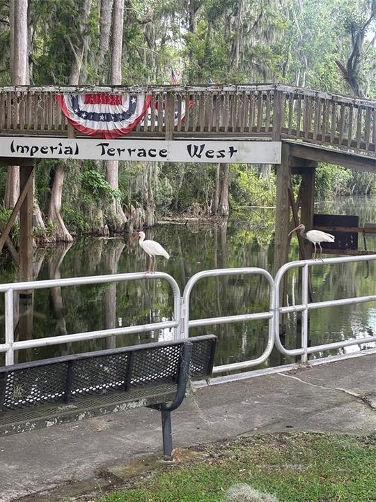 For Sale: $170,000 (2 beds, 2 baths, 1344 Square Feet)