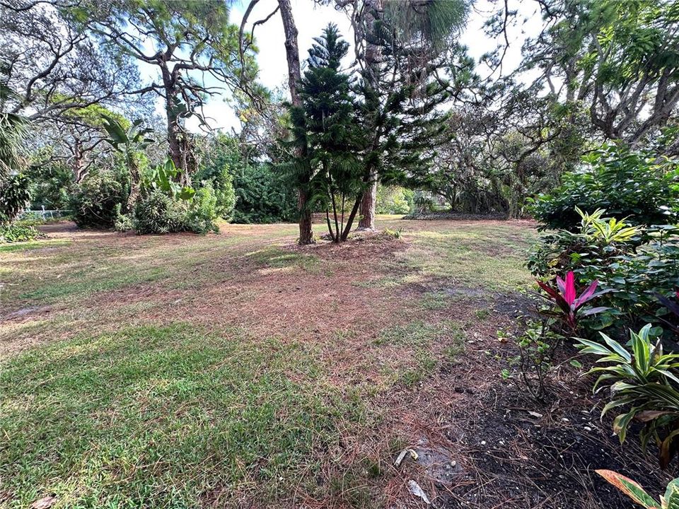 出租: $1,800 (2 贝兹, 2 浴室, 1108 平方英尺)