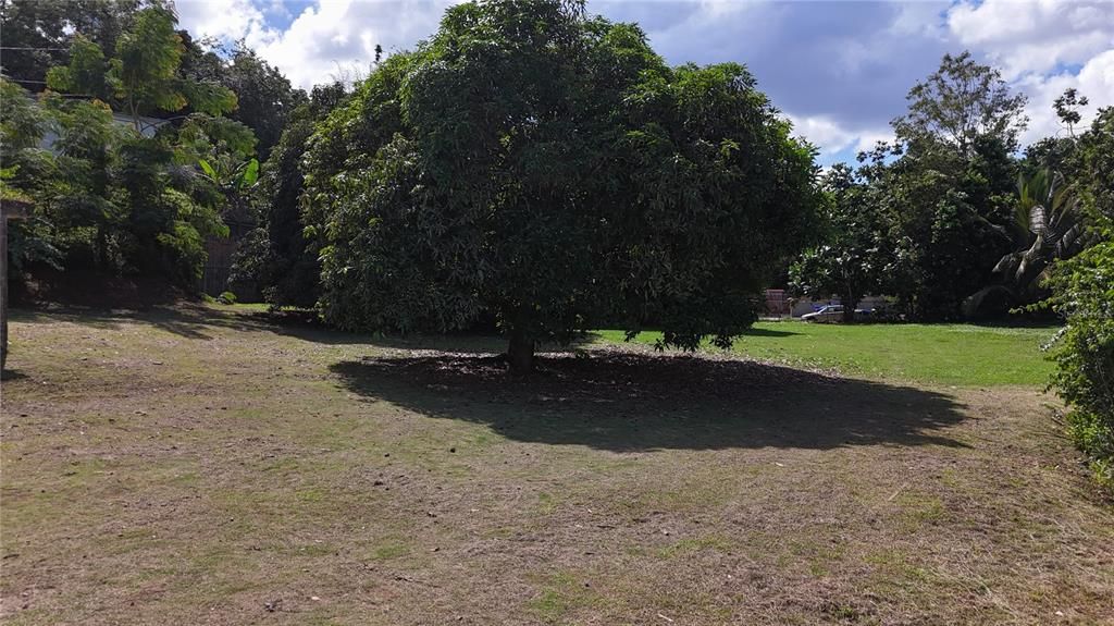 На продажу: $300,000 (0.80 acres)