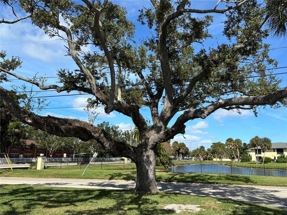 For Rent: $1,850 (2 beds, 2 baths, 1377 Square Feet)