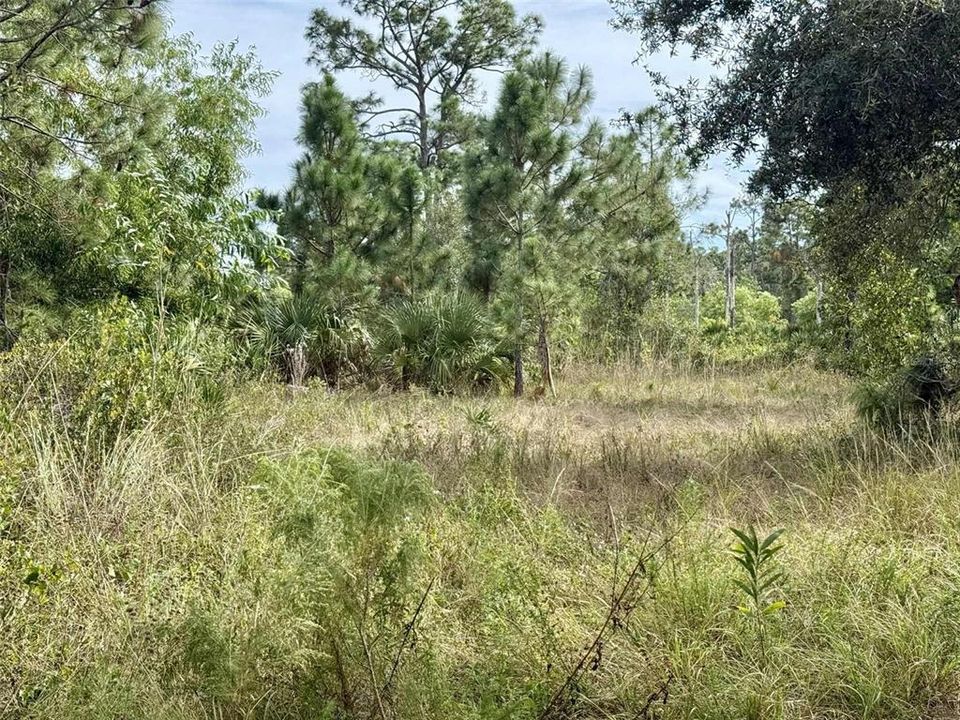 待售: $25,000 (0.60 acres)