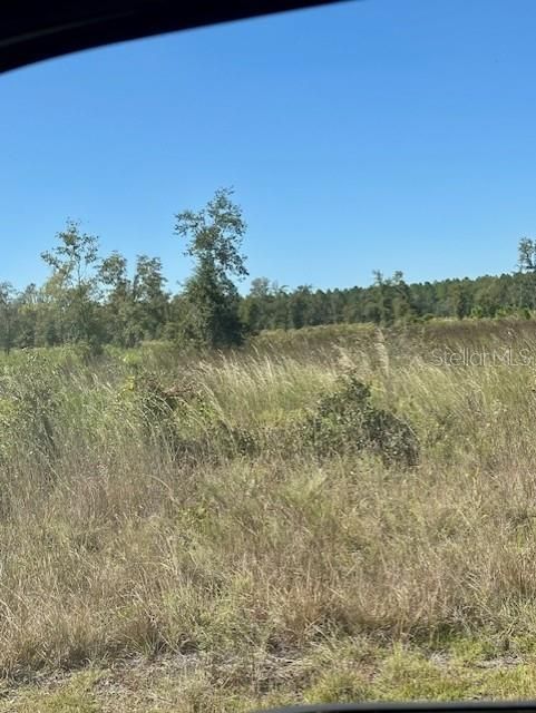 待售: $349,000 (42.86 acres)