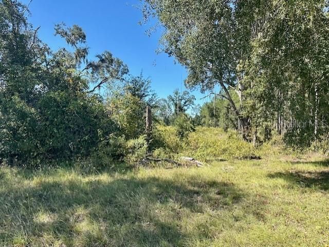 待售: $349,000 (42.86 acres)