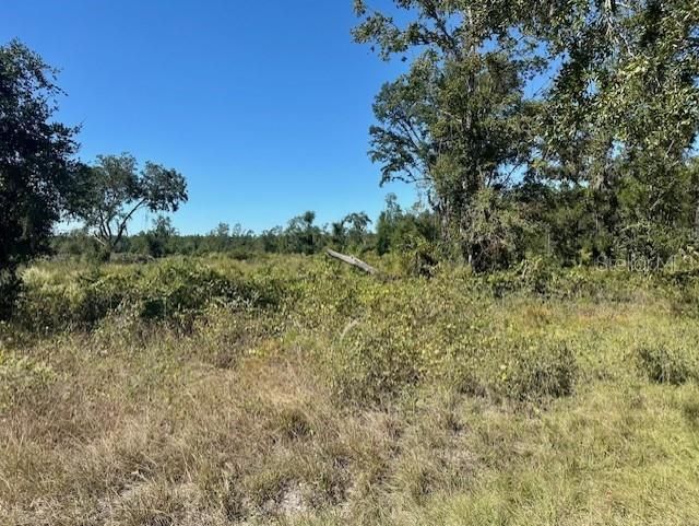 待售: $349,000 (42.86 acres)