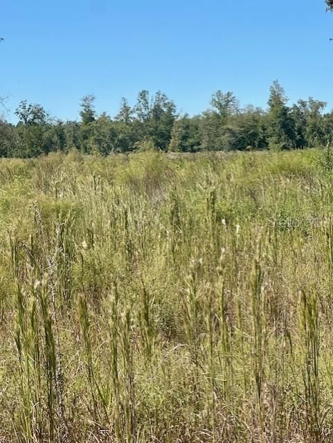 待售: $349,000 (42.86 acres)