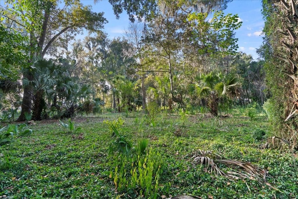 En Venta: $100,000 (1.18 acres)