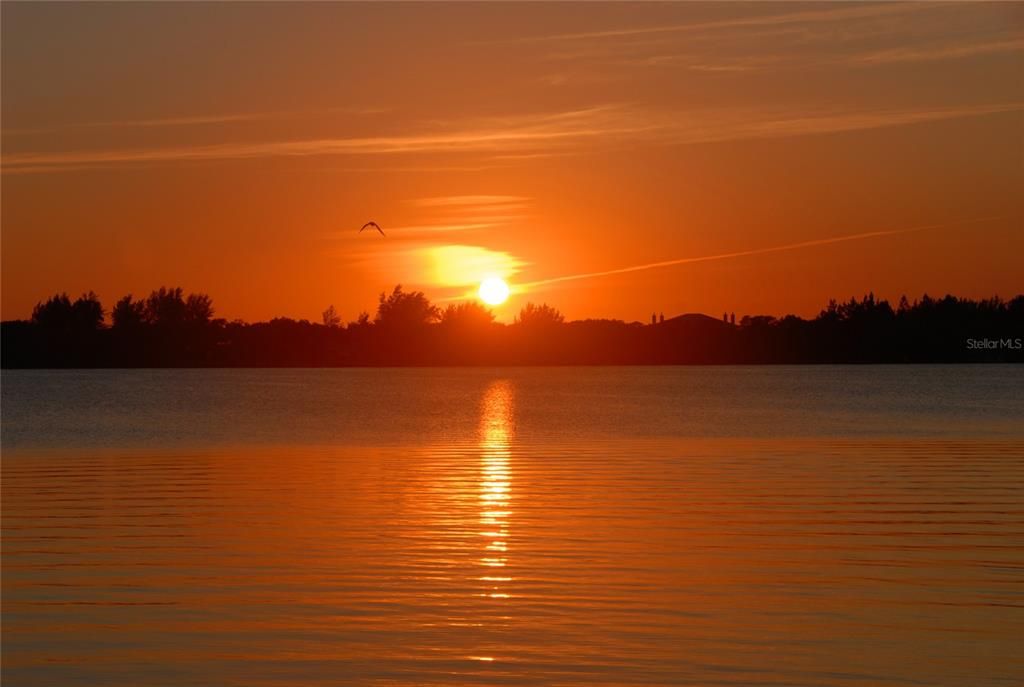 待售: $2,950,000 (3 贝兹, 2 浴室, 1609 平方英尺)