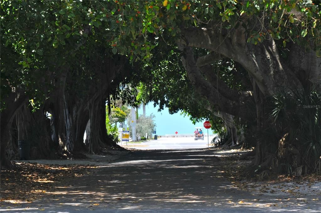 待售: $2,950,000 (3 贝兹, 2 浴室, 1609 平方英尺)