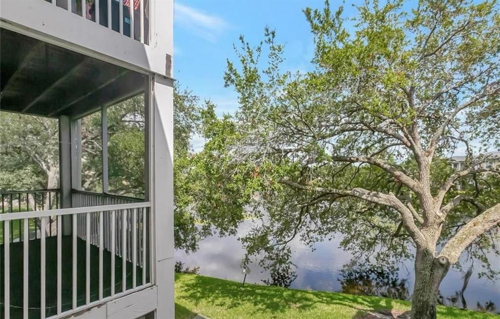 出租: $1,450 (1 贝兹, 1 浴室, 738 平方英尺)