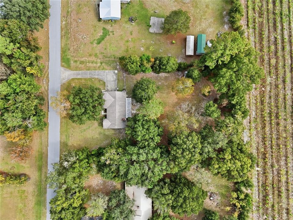 待售: $289,000 (3 贝兹, 2 浴室, 1375 平方英尺)