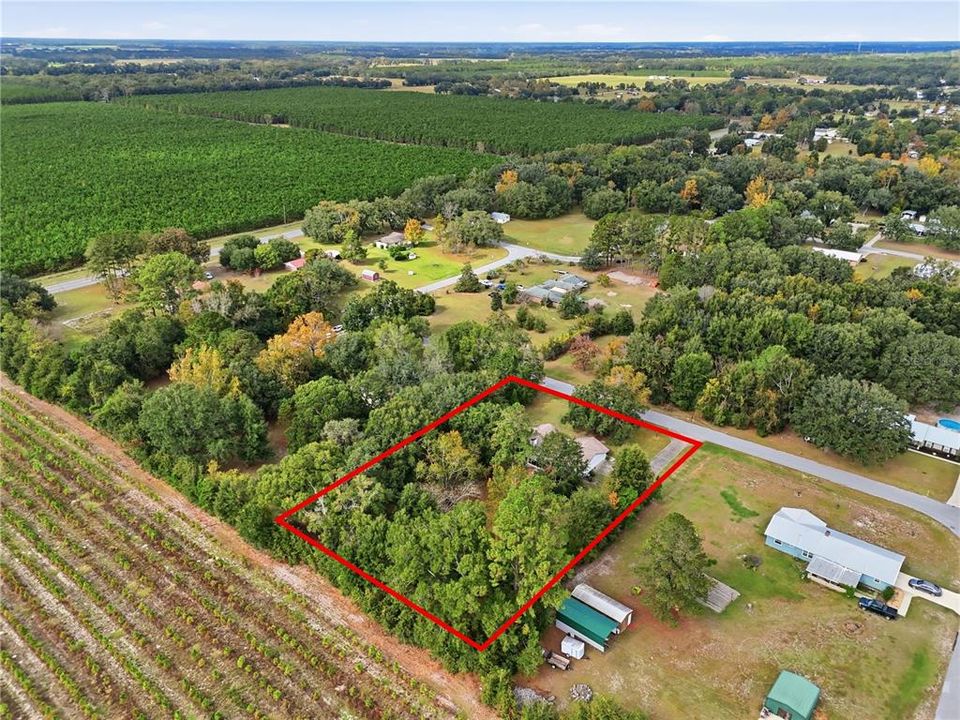 待售: $289,000 (3 贝兹, 2 浴室, 1375 平方英尺)