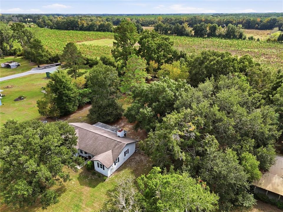 待售: $289,000 (3 贝兹, 2 浴室, 1375 平方英尺)