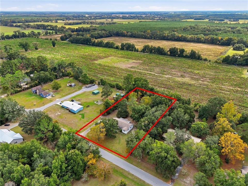 待售: $289,000 (3 贝兹, 2 浴室, 1375 平方英尺)