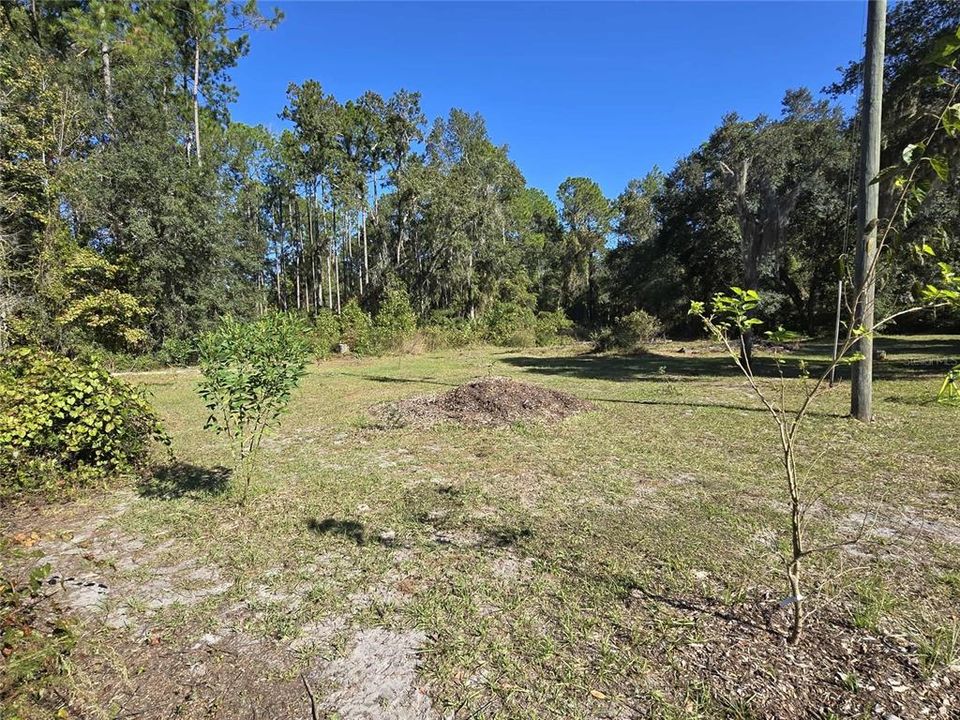 待售: $185,000 (2 贝兹, 2 浴室, 1232 平方英尺)