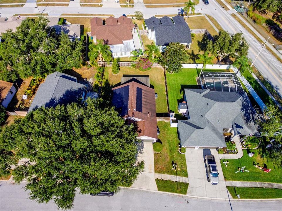 出租: $2,900 (3 贝兹, 2 浴室, 1530 平方英尺)