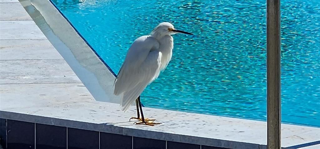 En Venta: $925,000 (2 camas, 2 baños, 1259 Pies cuadrados)