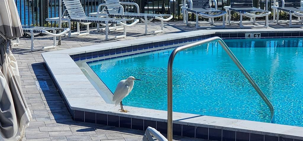 En Venta: $925,000 (2 camas, 2 baños, 1259 Pies cuadrados)