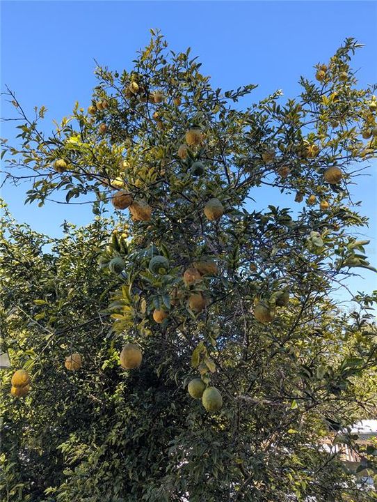 На продажу: $59,900 (3 спален, 2 ванн, 896 Квадратных фут)