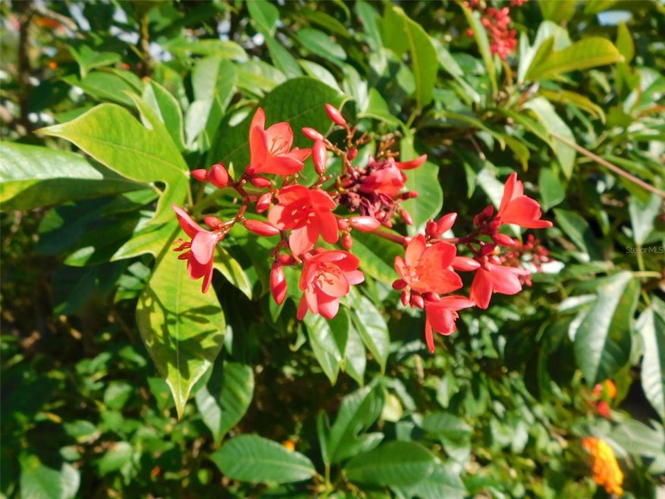 待售: $196,000 (2 贝兹, 2 浴室, 1296 平方英尺)