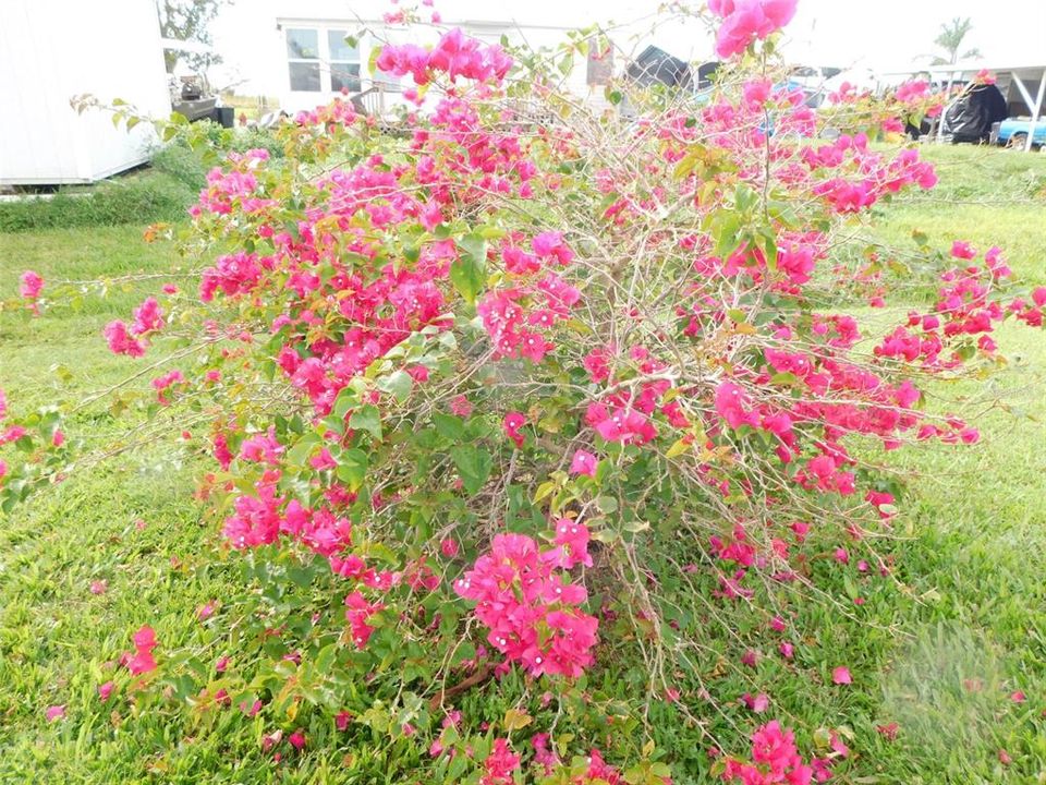 待售: $196,000 (2 贝兹, 2 浴室, 1296 平方英尺)