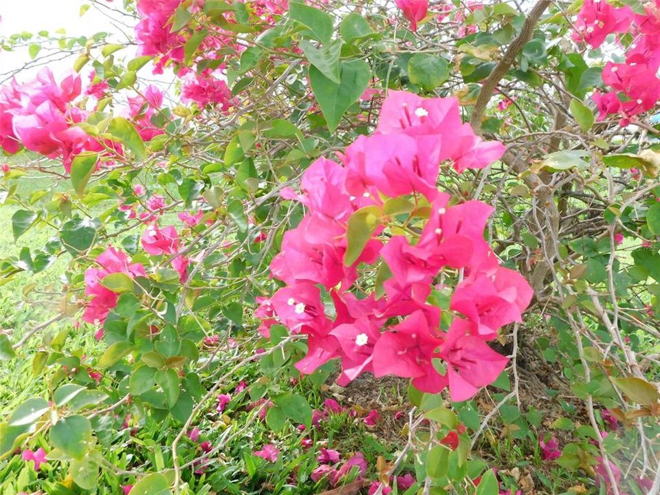 待售: $196,000 (2 贝兹, 2 浴室, 1296 平方英尺)