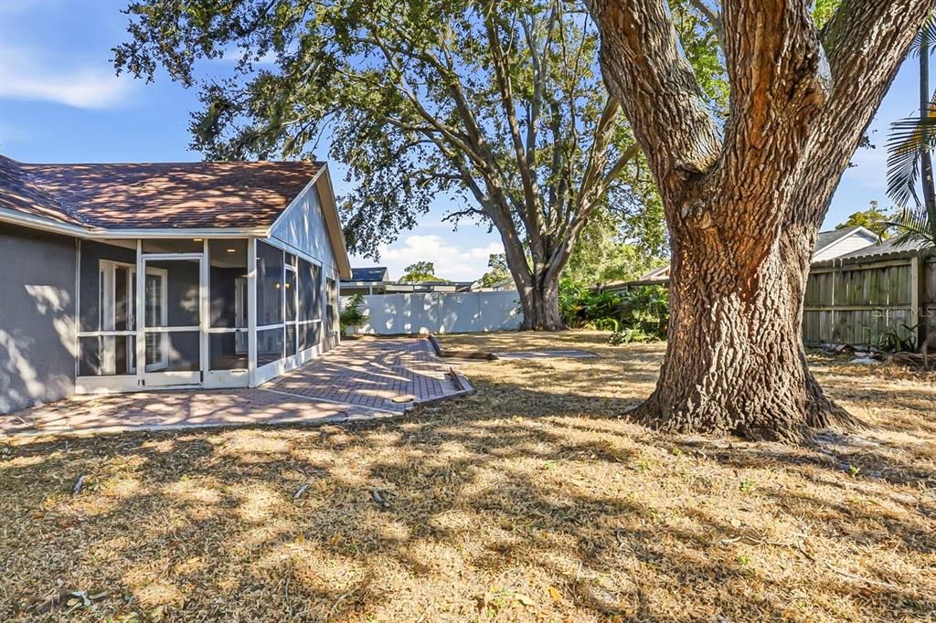 Activo con contrato: $419,900 (4 camas, 2 baños, 1754 Pies cuadrados)