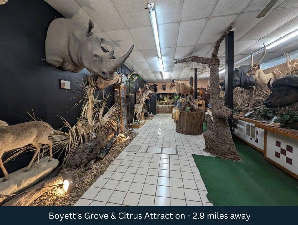 For Sale: $550,000 (5.01 acres)