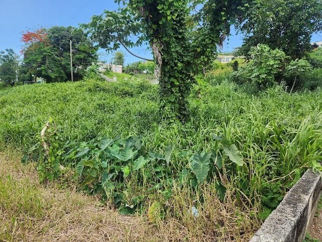 For Sale: $249,999 (3 beds, 3 baths, 2216 Square Feet)