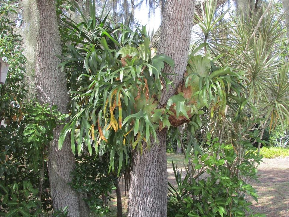 For Sale: $57,000 (0.10 acres)