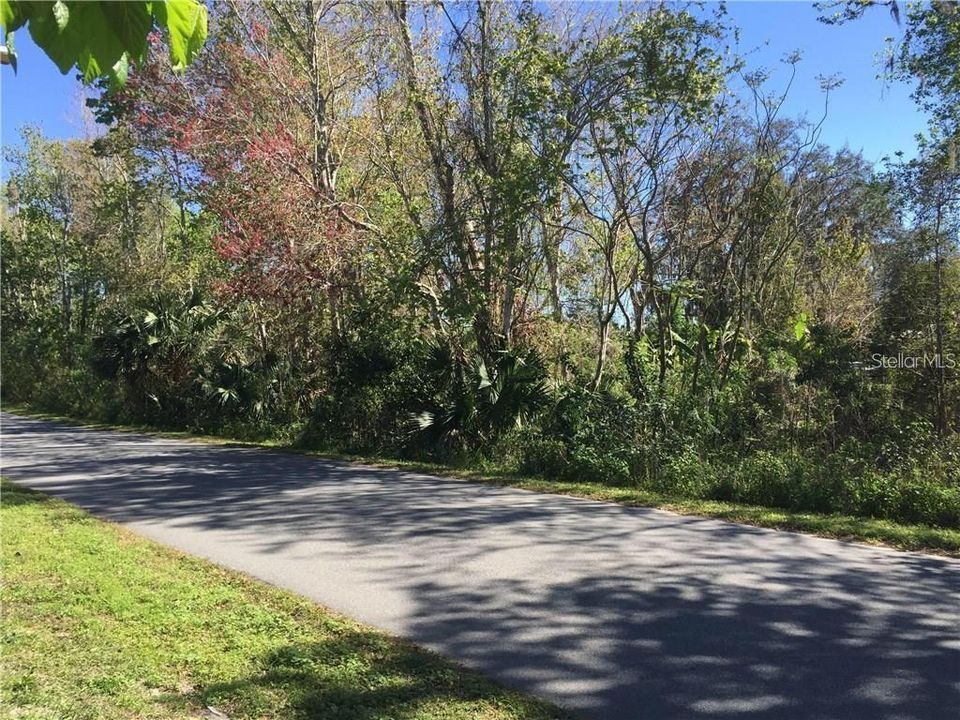 合同活跃: $95,000 (0.38 acres)