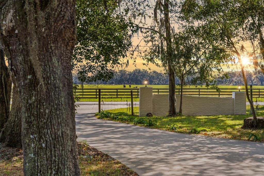 待售: $315,000 (3 贝兹, 2 浴室, 1488 平方英尺)