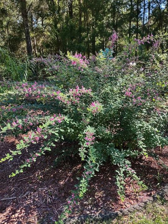 待售: $365,000 (2 贝兹, 2 浴室, 1678 平方英尺)