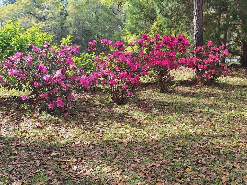 待售: $365,000 (2 贝兹, 2 浴室, 1678 平方英尺)