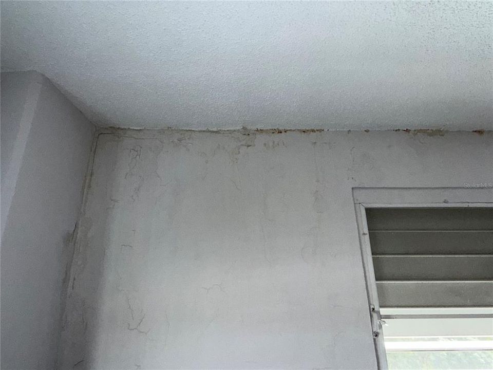 Под контрактом: $145,000 (3 спален, 1 ванн, 829 Квадратных фут)