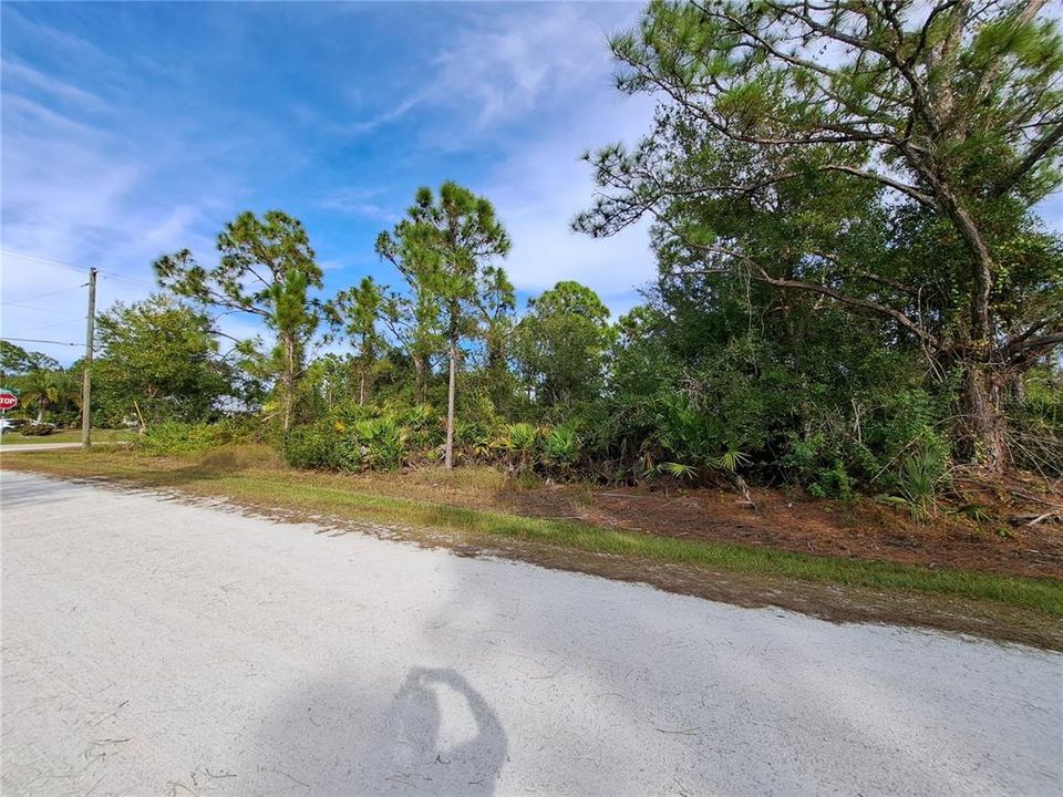 На продажу: $35,000 (0.29 acres)