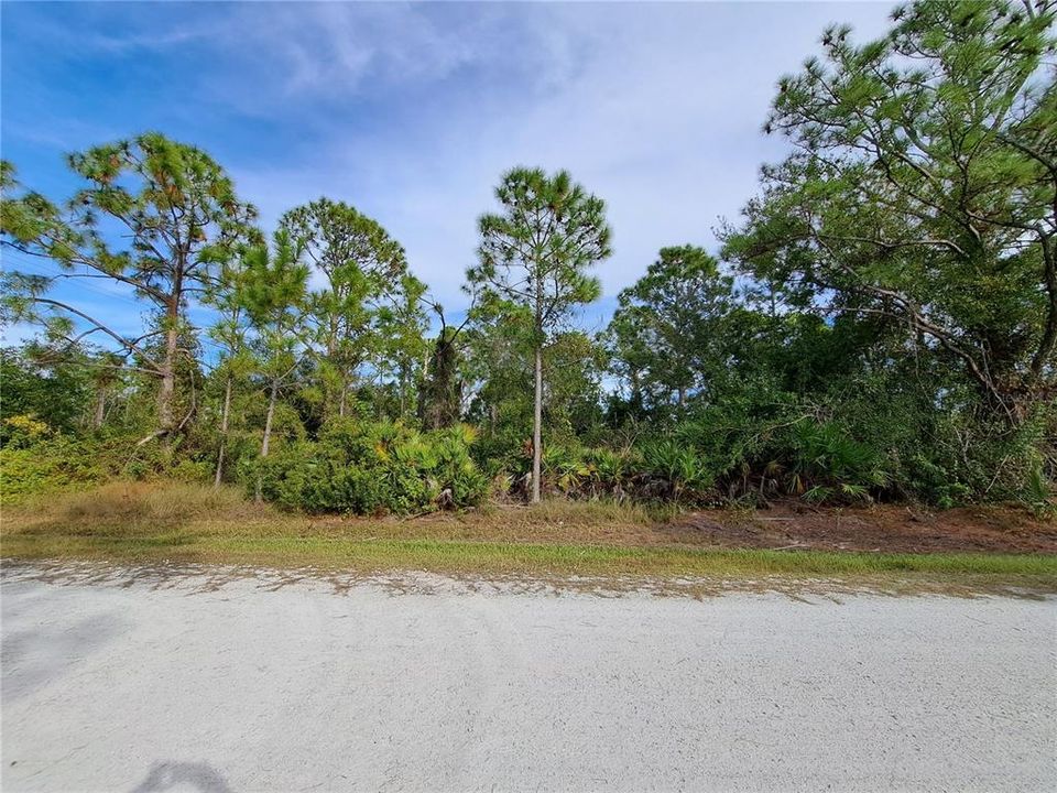 На продажу: $35,000 (0.29 acres)