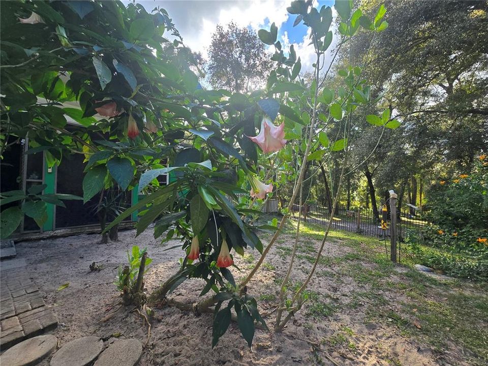 En Venta: $399,000 (2 camas, 2 baños, 1440 Pies cuadrados)