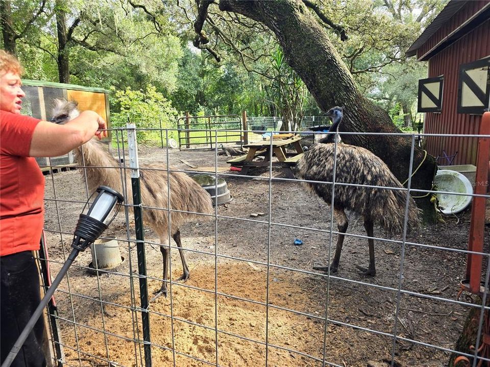 En Venta: $399,000 (2 camas, 2 baños, 1440 Pies cuadrados)