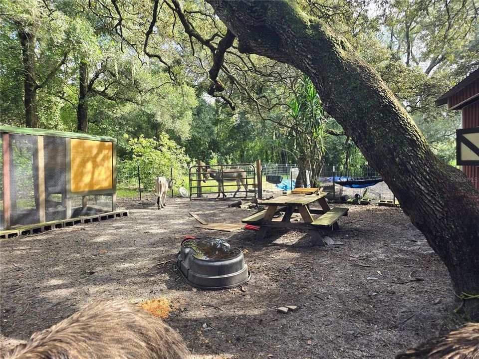 En Venta: $399,000 (2 camas, 2 baños, 1440 Pies cuadrados)