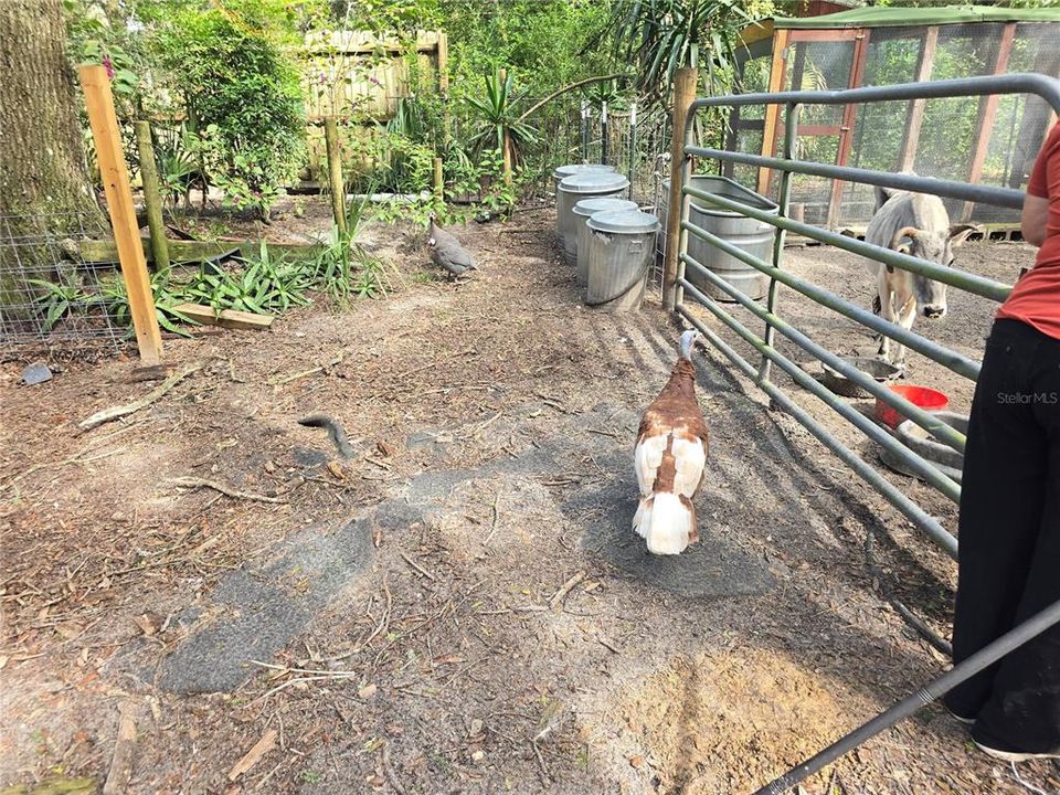 En Venta: $399,000 (2 camas, 2 baños, 1440 Pies cuadrados)