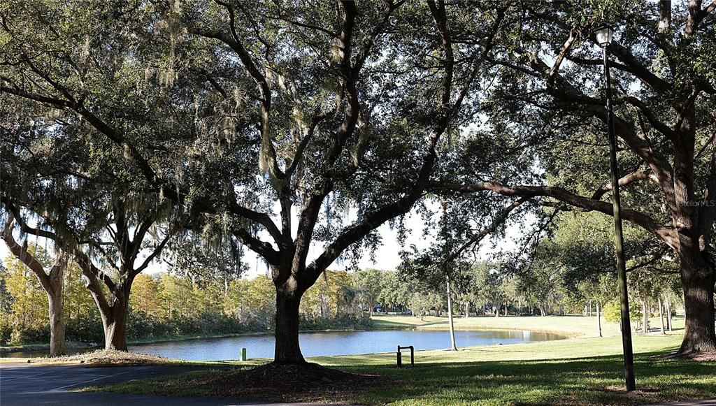 На продажу: $275,000 (2 спален, 2 ванн, 1433 Квадратных фут)