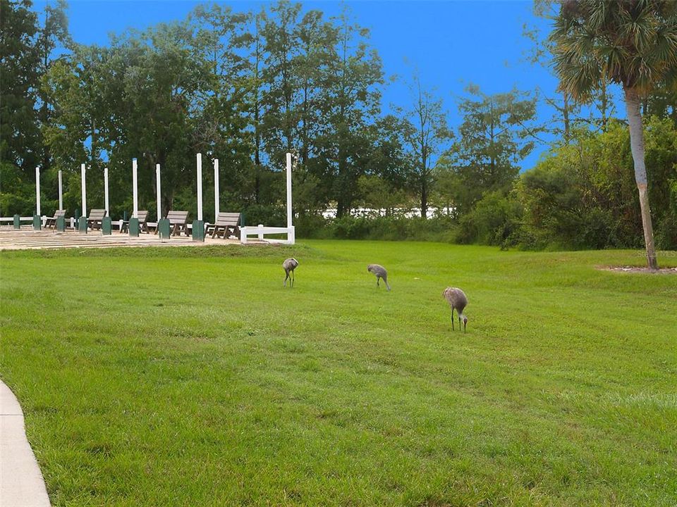 На продажу: $275,000 (2 спален, 2 ванн, 1433 Квадратных фут)