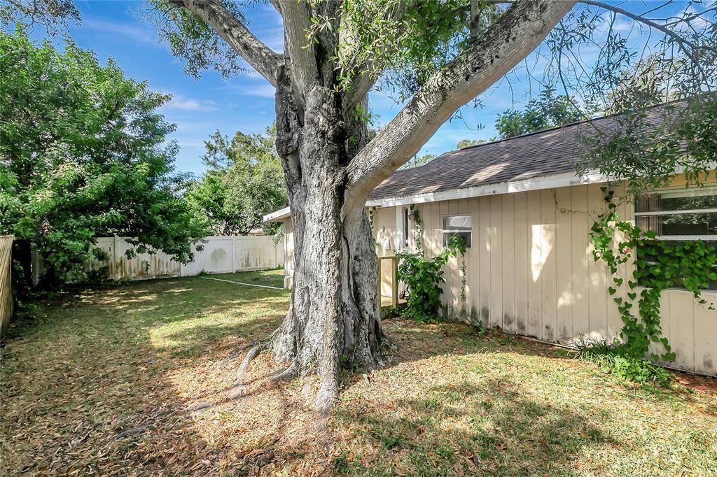 Active With Contract: $149,750 (1 beds, 1 baths, 680 Square Feet)