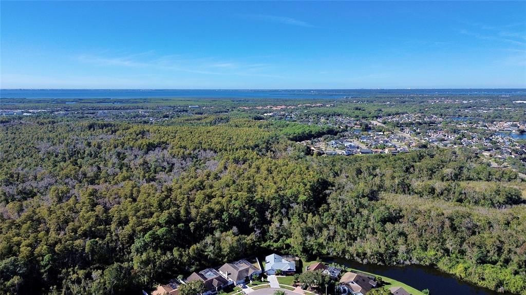 Под контрактом: $599,990 (4 спален, 2 ванн, 2094 Квадратных фут)